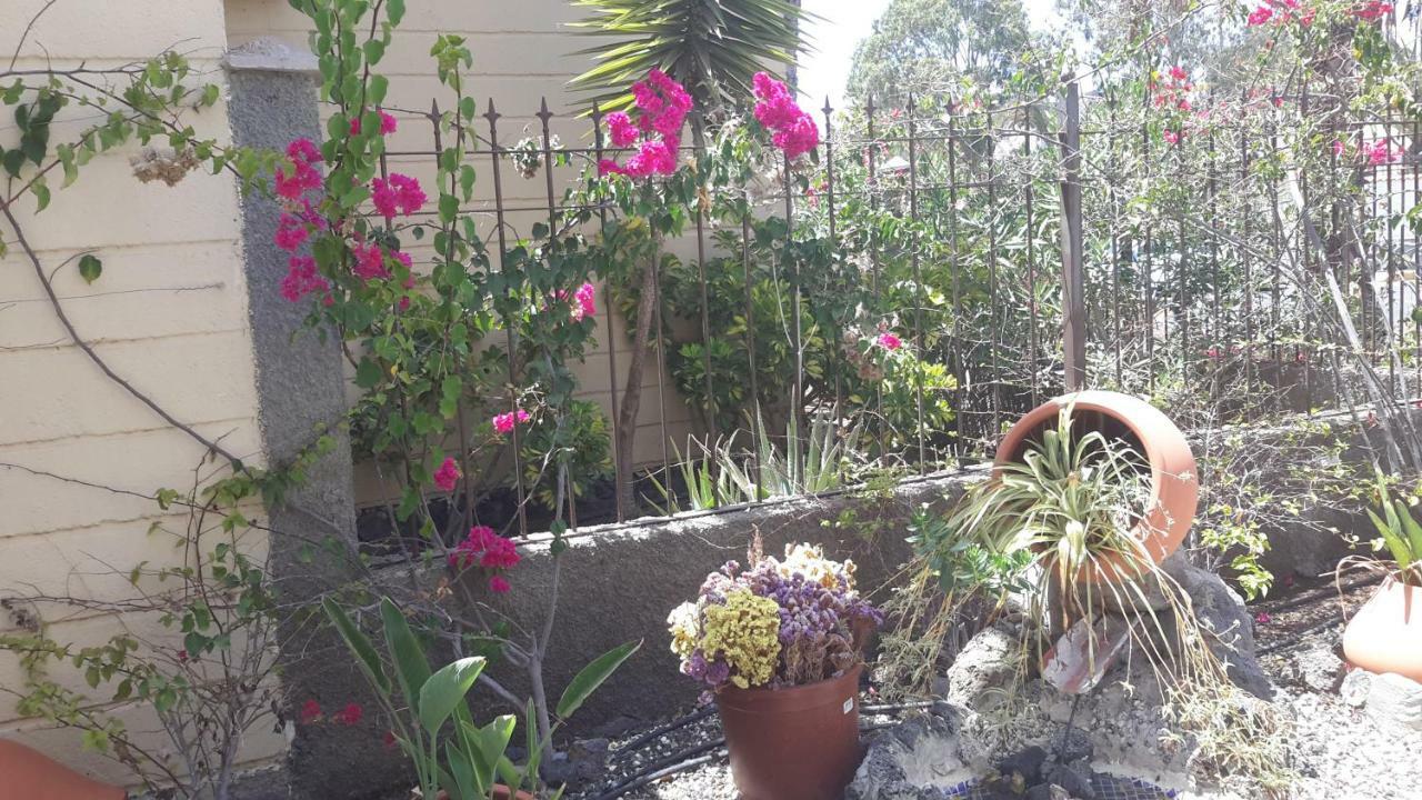 Beautiful Apartment Hercules طوستا ديل سيلونثيو المظهر الخارجي الصورة